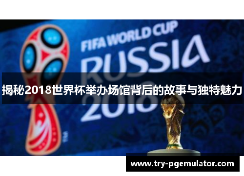 揭秘2018世界杯举办场馆背后的故事与独特魅力