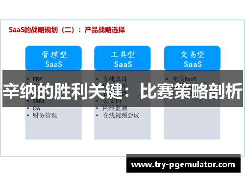 辛纳的胜利关键：比赛策略剖析