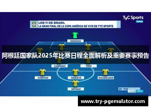 阿根廷国家队2025年比赛日程全面解析及重要赛事预告