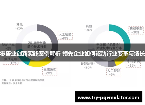 零售业创新实践案例解析 领先企业如何驱动行业变革与增长