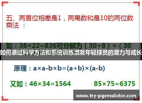 如何通过科学方法和系统训练激发年轻球员的潜力与成长