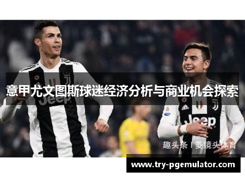 意甲尤文图斯球迷经济分析与商业机会探索 意甲尤文图斯球迷经济分析与商业机会探索