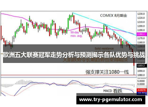 欧洲五大联赛冠军走势分析与预测揭示各队优势与挑战 欧洲五大联赛冠军走势分析与预测揭示各队优势与挑战