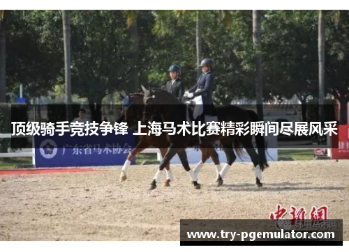 顶级骑手竞技争锋 上海马术比赛精彩瞬间尽展风采