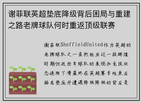 谢菲联英超垫底降级背后困局与重建之路老牌球队何时重返顶级联赛 谢菲联英超垫底降级背后困局与重建之路老牌球队何时重返顶级联赛