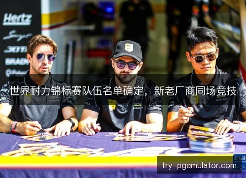 世界耐力锦标赛队伍名单确定，新老厂商同场竞技